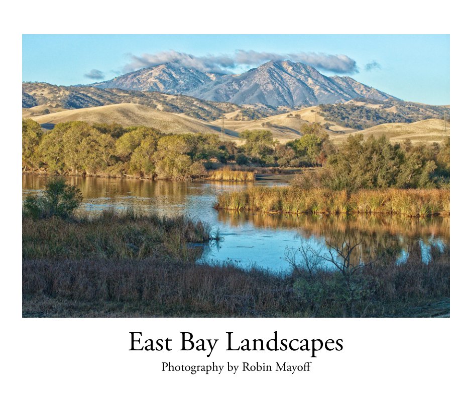 View East Bay Landscapes (amazon) by Robin Mayoff