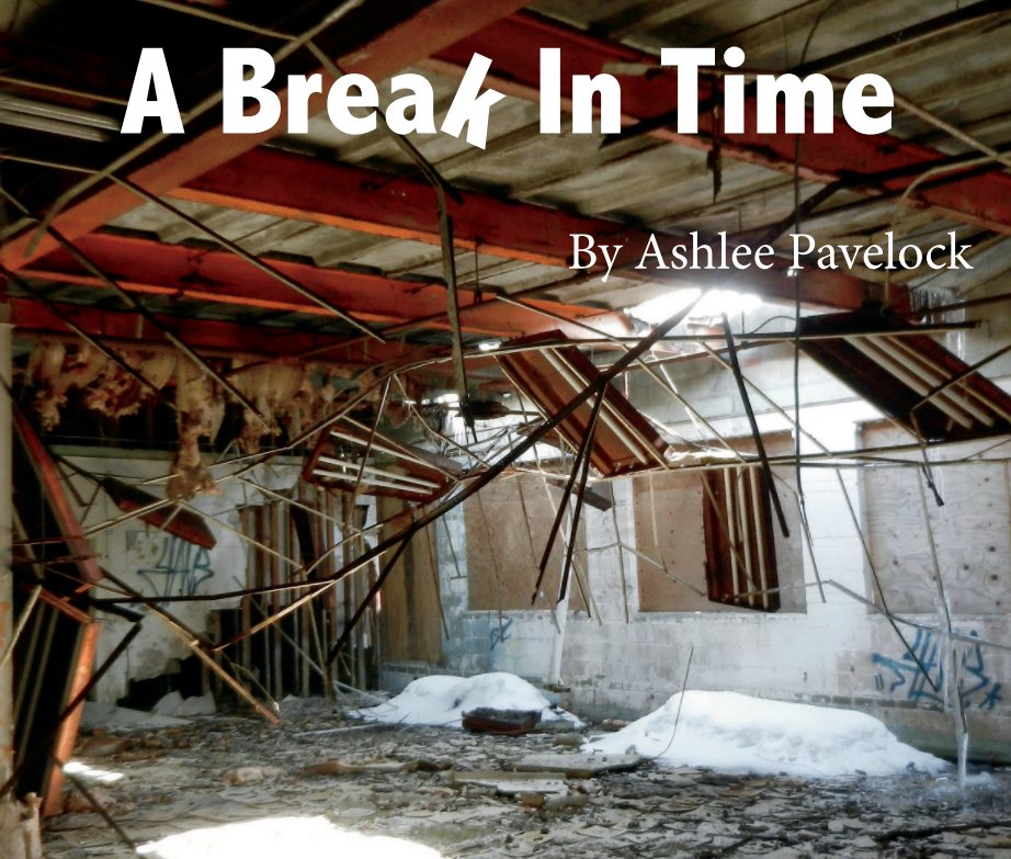 Visualizza A Break in Time di Ashlee Pavelock