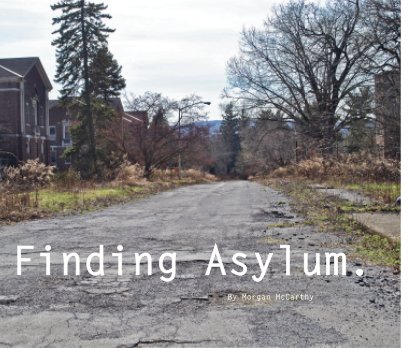 Finding Asylum. book cover