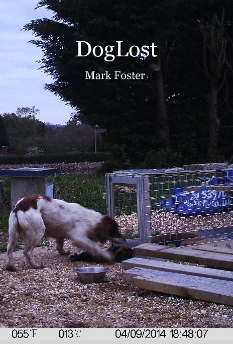 View DogLost by Mark Foster