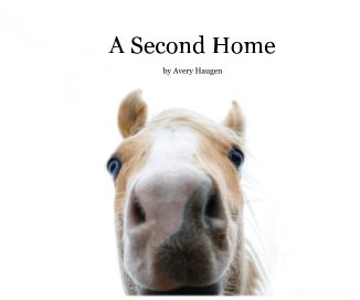 A Second Home book cover