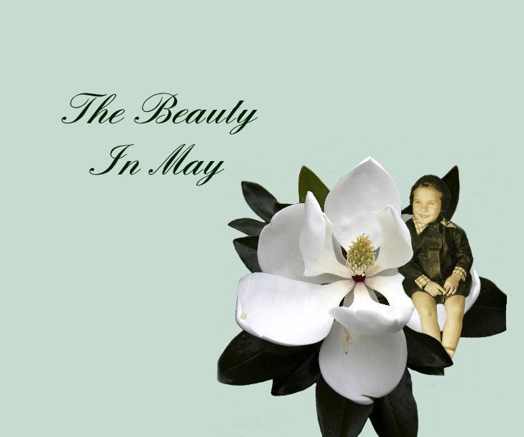 Visualizza The Beauty In May di Debora Lynn