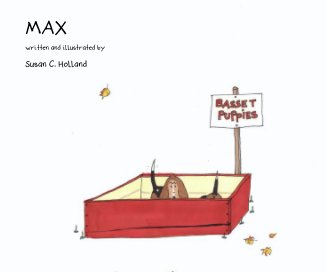 MAX book cover