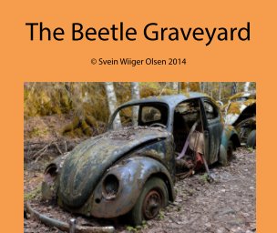 The Beetle Graveyard book cover
