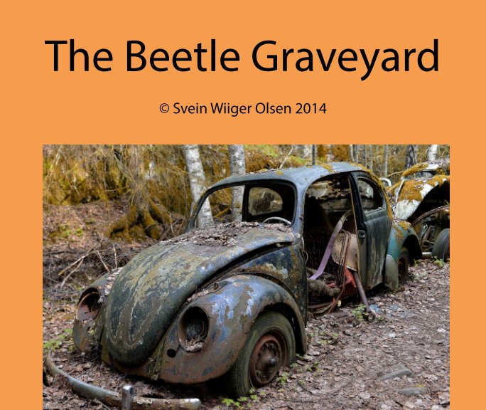 View The Beetle Graveyard by Svein Wiiger Olsen