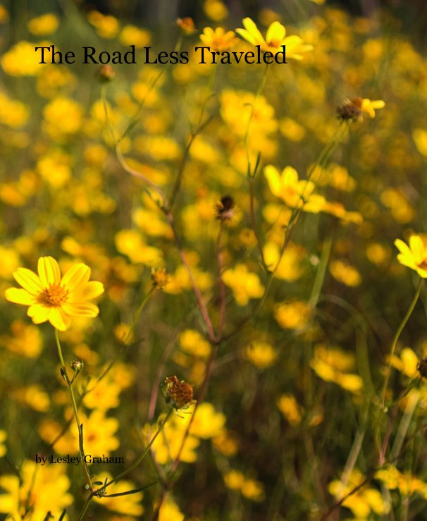 View The Road Less Traveled by Lesley Graham