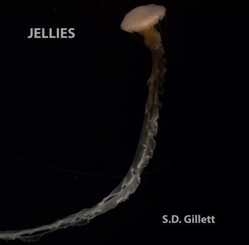 View Jellies by S D Gillett