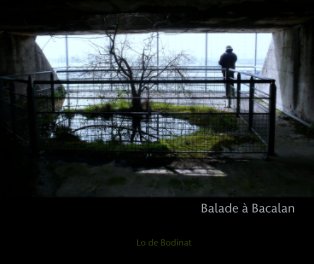 Balade à Bacalan book cover