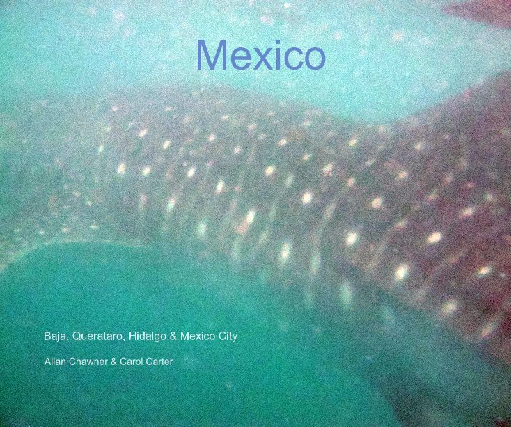 View Mexico by Allan Chawner & Carol Carter