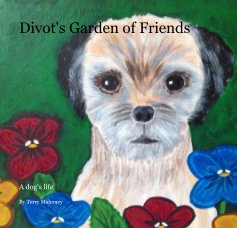 Divot's Garden of Friends book cover