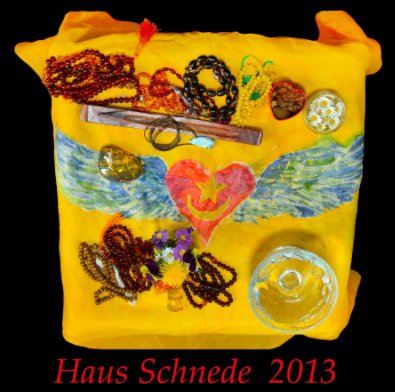 Haus Schnede 2013 book cover