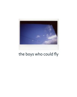 The Boys Who Could Fly book cover