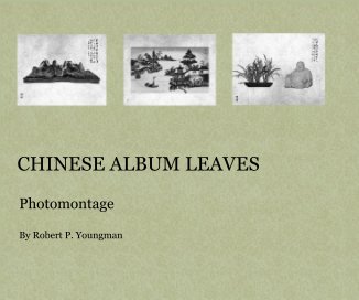 CHINESE ALBUM LEAVES book cover