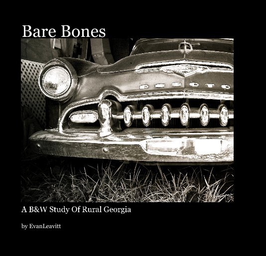 View Bare Bones by EvanLeavitt