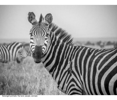 Serengeti portraits: the land, people, animals book cover