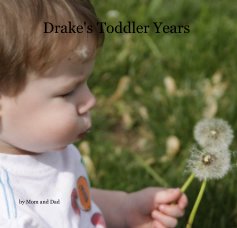 Drake's Toddler Years book cover