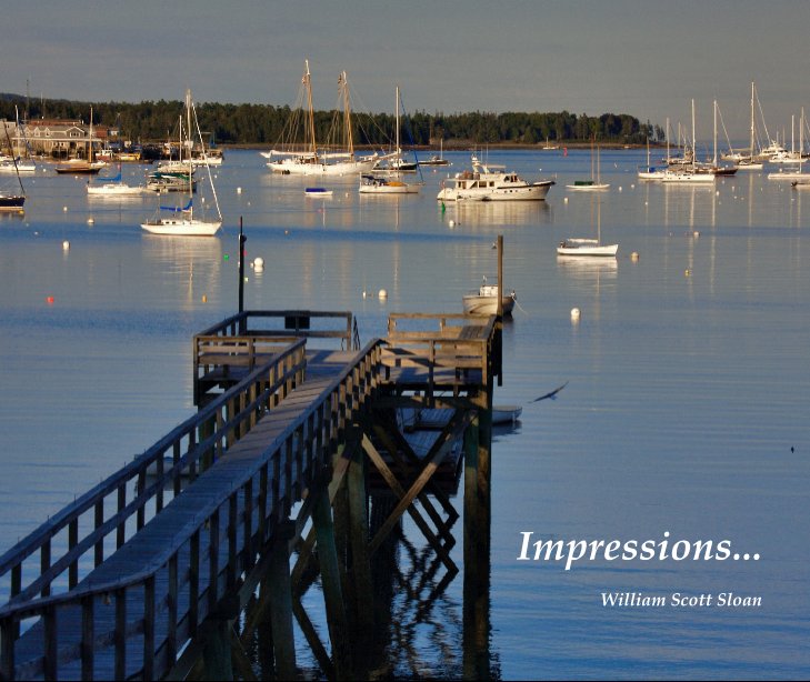View Impressions... by William Scott Sloan