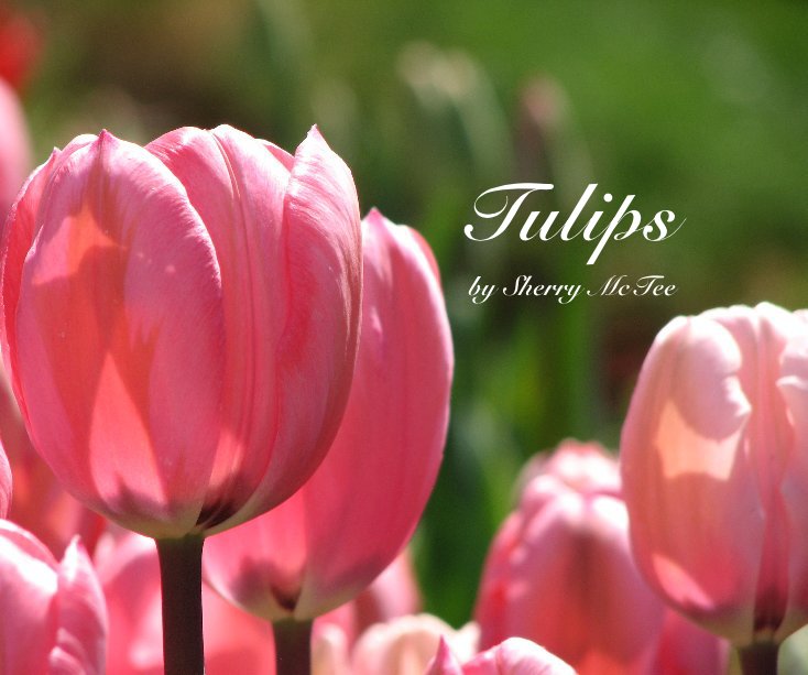 View Tulips by Sherry McTee
