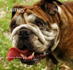 Lumpy book cover