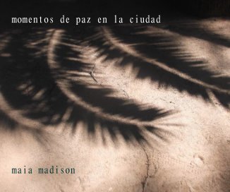 momentos de paz en la ciudad maia madison book cover