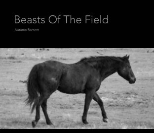 Beasts Of The Field book cover