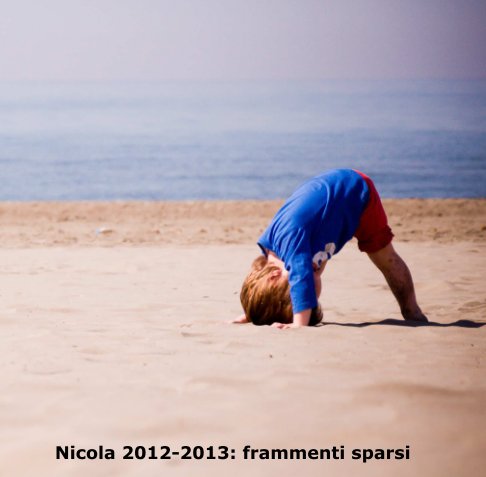 View Nicola 2012-2013: frammenti sparsi by Federico Rusich