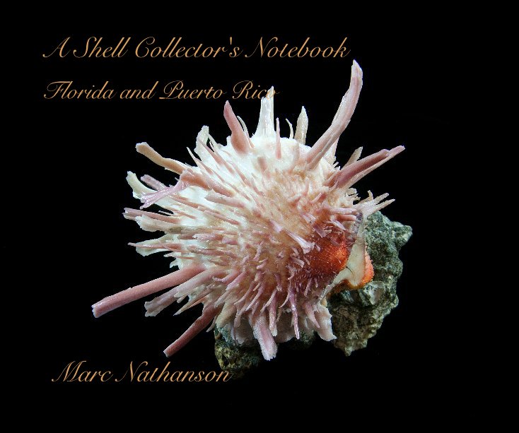 View A Shell Collector's Notebook by Marc Nathanson