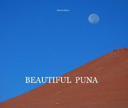 Beautiful Puna book cover