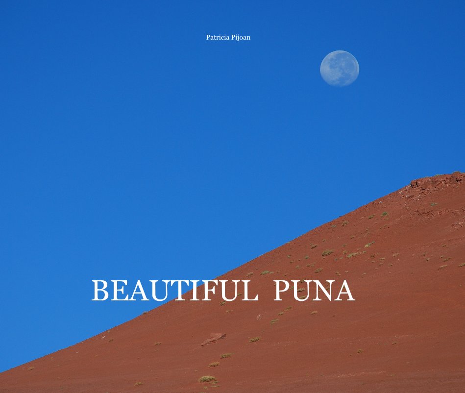 View Beautiful Puna by Patricia Pijoan
