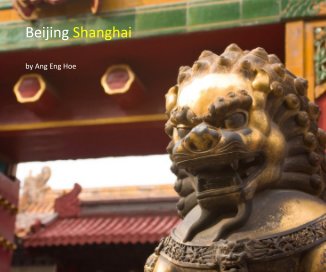 Beijing Shanghai book cover