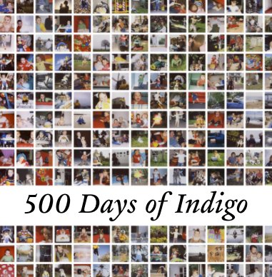 500 Days of Indigo book cover