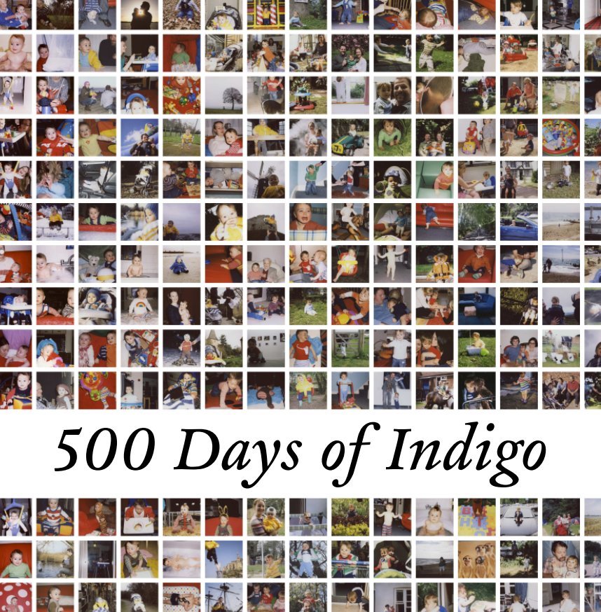 Ver 500 Days of Indigo por Sam Cornwell and Beverley Cornwell