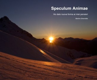 Speculum Animae book cover