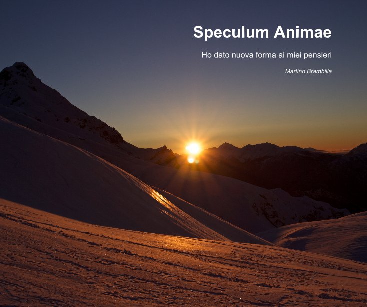 View Speculum Animae by Martino Brambilla