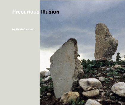 Precarious Illusions book cover