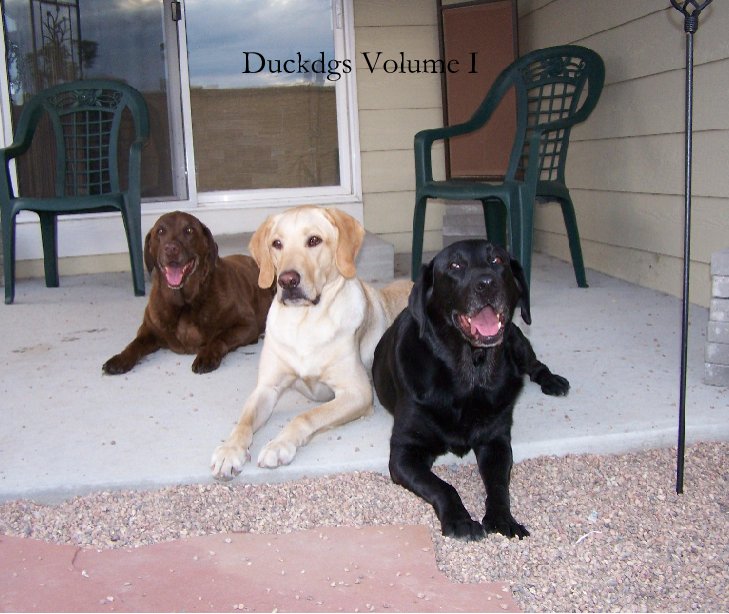 Visualizza Duckdgs Volume I di Duckdgs