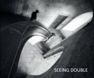 SEEING DOUBLE book cover