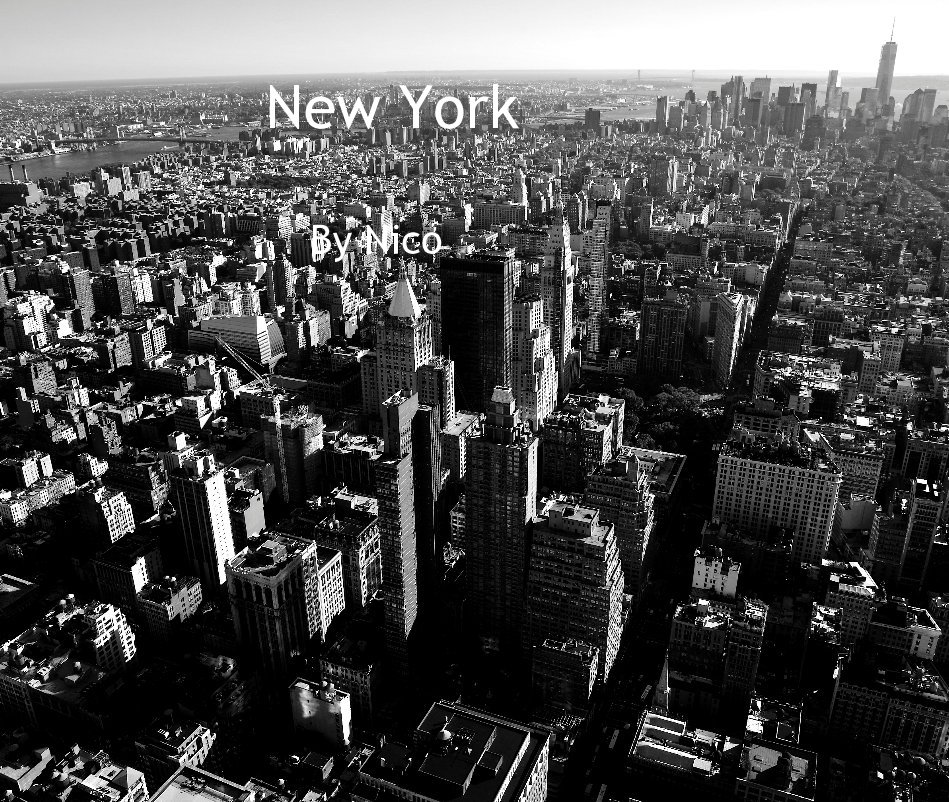 View New York by Nico