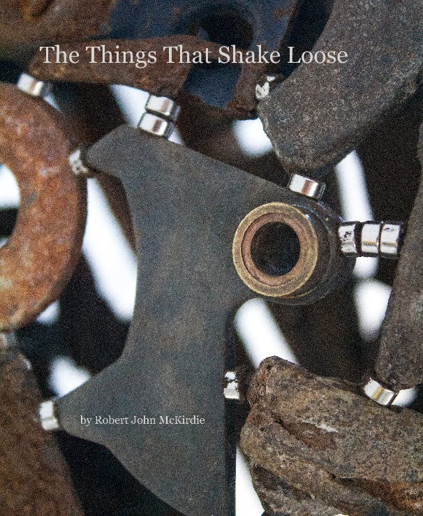View The Things That Shake Loose by Robert John McKirdie