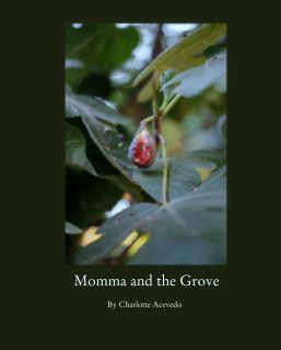 Momma and the Grove book cover