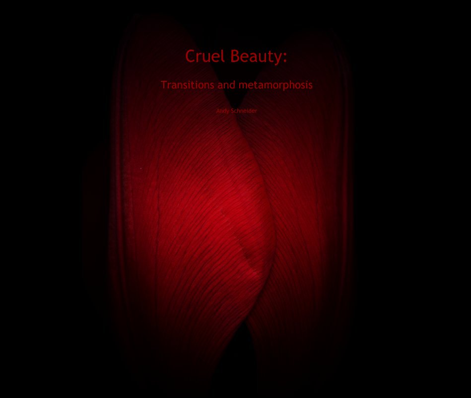 View Cruel Beauty: Transitions and metamorphosis by Andy Schneider
