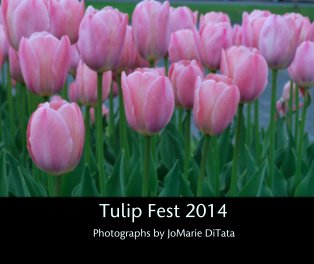 Tulip Fest 2014 book cover