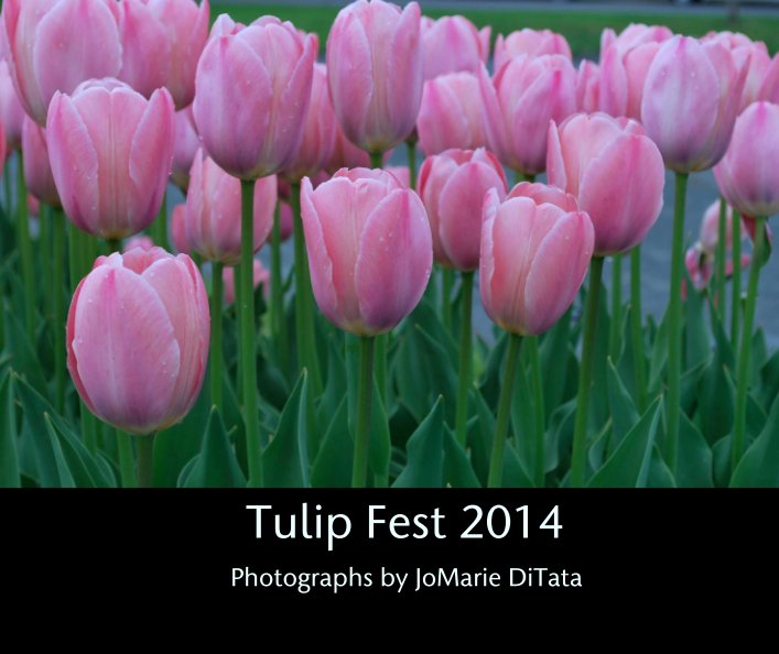 View Tulip Fest 2014 by Photographs by JoMarie DiTata