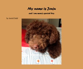 My name is Jenju book cover