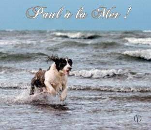 Paul à la mer ! book cover