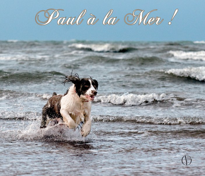 Ver Paul à la mer ! por Yannick Guinot