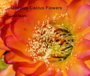 Glorious Cactus Flowers book cover