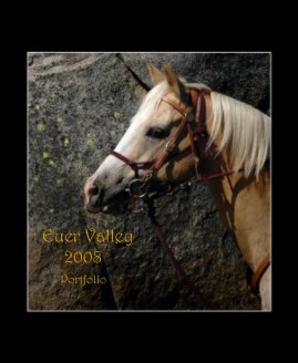 Horses at Euer Valley book cover
