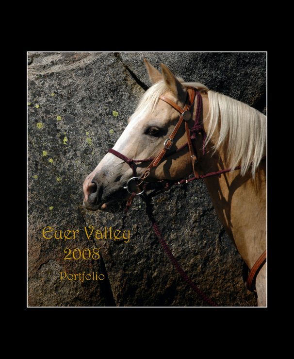 Ver Horses at Euer Valley por 4th Floor Studios