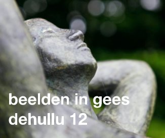 Beelden in Gees 2012 book cover